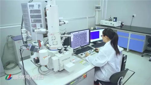 聚焦潮州高質(zhì)量發(fā)展 抓創(chuàng)新促轉(zhuǎn)型 做強(qiáng)做優(yōu)實(shí)體經(jīng)濟(jì)